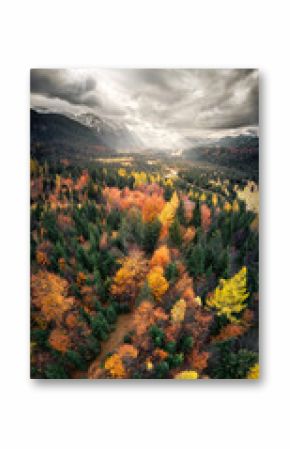 Vertical aerial panorama of a colorful picturesque autumn forest with dramatic cloudy sky and mountains in the background