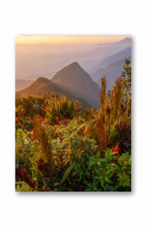 mountains silhouettes with tropical blue and orange colors of sunrise in the Colombian mountain range with a blur and paramos vegetation in an invitation to discover beautiful places