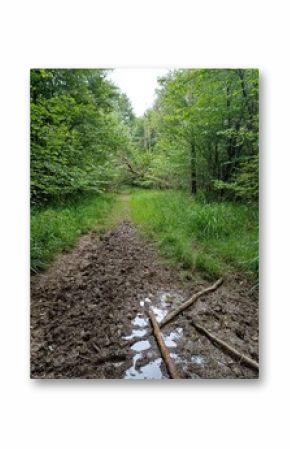 no tresspass,  mud on the path, path in the woods, broaks woods, muddy path, suffolk, uk, May 2024