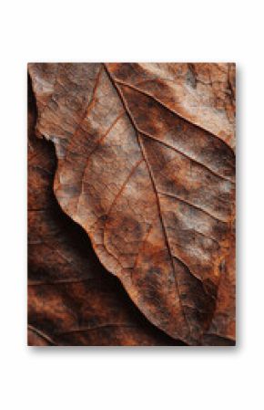 A close up of a leaf with a brownish hue