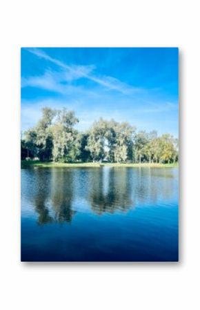 Trees reflection on the lake surface, blue lake in the park, summertime