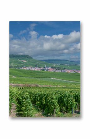 view to Wine Village of Oger in Champagne region close to Eperna