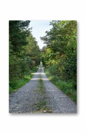 Schotterstraße durch einen Wald, Forststraße, Bayern, Deutschland, Europa