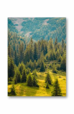 Romania Transalpina road with many serpentines crossing forest in  Carpathian mountains. Mountains forest trees with road in Parang mountains