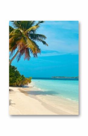 tropical beach with palm trees