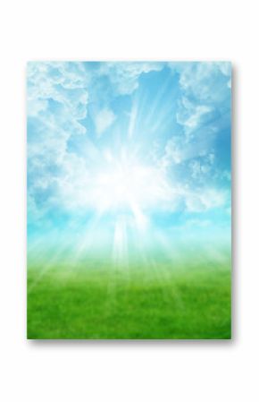 Spring grass and sky background