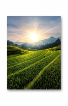 breathtaking landscape featuring lush green rice terraces illuminated by golden rays of sun. scene captures beauty of nature, with rolling hills and serene atmosphere