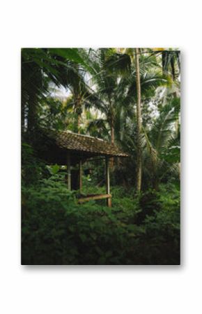 Cabaña de madera en plantación de arroz, Bali, indonesia