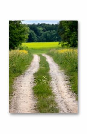 A gravel road winds through a vibrant green field, leading towards a distant yellow field and a line of trees under a partly cloudy sky. : Generative AI