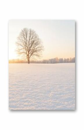 Solitary Tree in Snowy Winter Field at Sunset