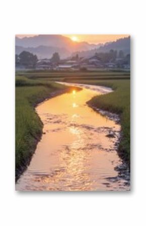 Sunrise Over Flooded Rice Paddy Fields