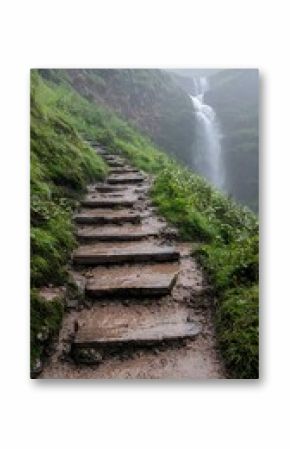 Stone Steps Leading to a Hidden Waterfall in a Mossy Canyon