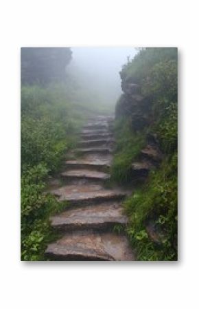 Stone Steps Leading Through Misty Waterfall and Lush Greenery