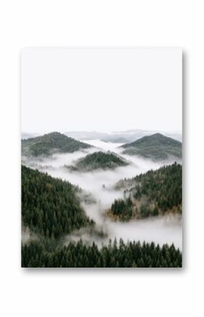 Misty Valley Landscape: Green Hills Enveloped in Fog