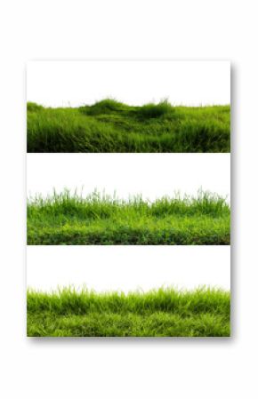 Collection of green grass field with copy space isolated on white or transparent background