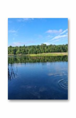 Tranquil lake scene with clear blue water, green reeds, and a lush forest under a bright sky. Perfect nature landscape for relaxation, travel, or outdoor themes.