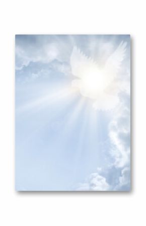 Bright light from cloudy sky