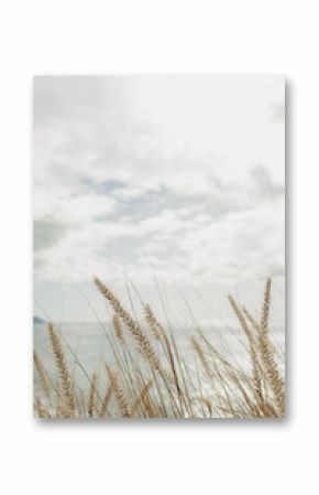Seaside Grass Against Cloudy Sky