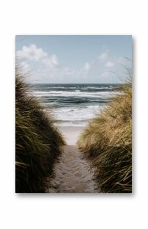 A pathway to the beach is captured in a vertical shot at the ocean's edge