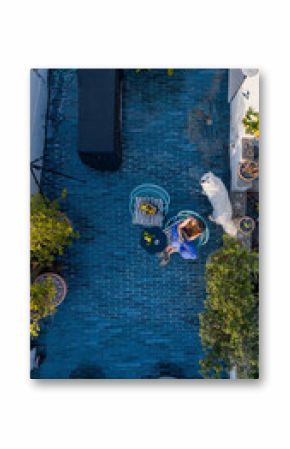 Aerial view of a cozy rooftop terrace where a woman relaxes with a white dog and lemonade. Surrounded by plants and blue tiles, the space evokes calm urban living and pet companionship