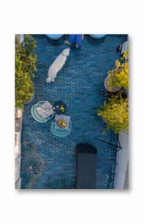 Aerial view of a cozy rooftop terrace where a woman relaxes with a white dog and lemonade. Surrounded by plants and blue tiles, the space evokes calm urban living and pet companionship