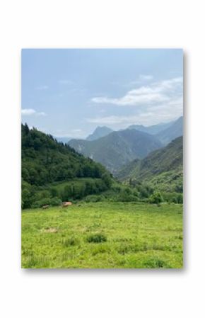 Scenic green valley in Asturias, Spain, with grazing cows and mountain peaks in the background