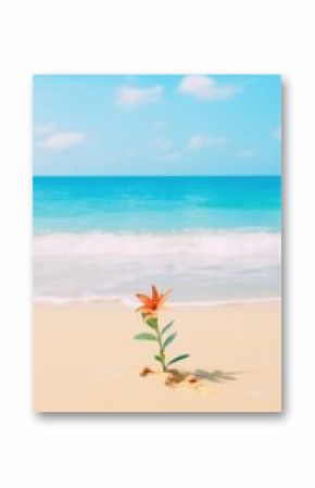 Beach nature outdoors horizon.
