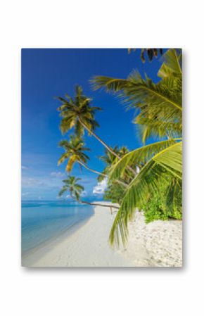 Scenic tropical beach paradise on exotic island. Relaxing palm trees sunny sea sand sky. Luxury summer vibes perfect travel destination for honeymoon coastal adventures. Majestic best tourism nature