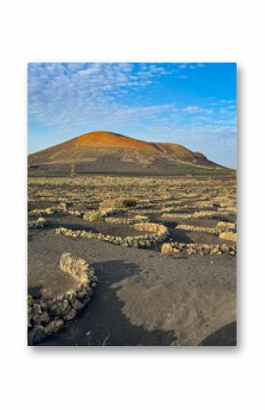 Vast expanse of unique vineyards in Lanzarote, where grapevines are cultivated in rounded stone pits in dark volcanic soil. Striking reddish volcanic cone dominates landscape under a clear blue sky.