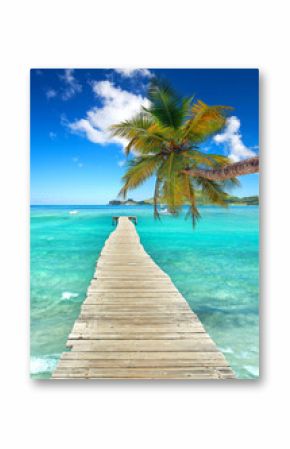 Rustic Wooden Pier with a Palm Tree Overlooking the Blue tropical Sea
