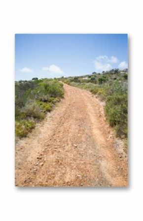 Winding dirt path is curving up scrubby hillside with gravel in flat design vector illustration