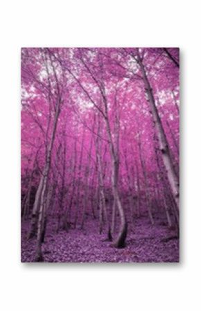 Vertical image of pink blossoming trees in a forest, with copy space