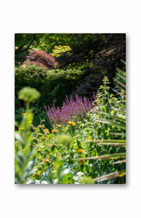Colourful flower border bed with a variety of  perennial flowers, at Wisley garden, Surrey UK.