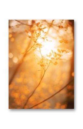Tree light sky sunlight.