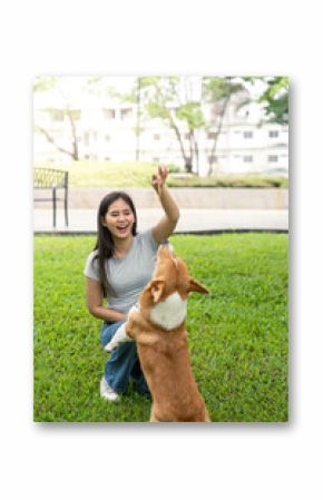 Dog Training and Bonding. Happy woman rewarding her corgi during a training session.