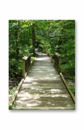wooden bridge in the forest along city urban walking trail 