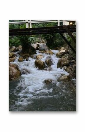 river in the forest