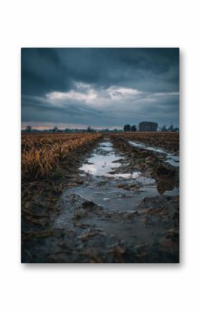 Stormy fields with muddy tracks and intense rain creating reflections
