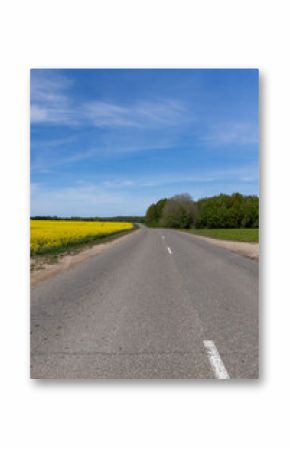 road in a field on one side grows rapeseed, and on the other side grows green grass against a blue sky with clouds