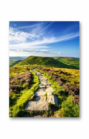 Scenic pathway through a vibrant landscape