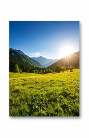 Sunlit meadow nestled in a valley, mountains rise in the background under a vibrant blue sky