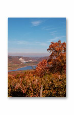 Autumn colored trees and countryside landscape scenery.