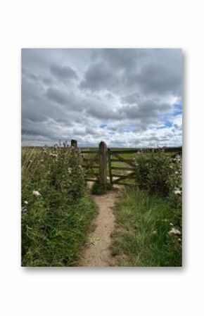 A narrow dirt path leads through tall wildflowers and grass to a wooden gate under a cloudy blue sky in a peaceful countryside landscape, evoking a serene rural walking trail scene.