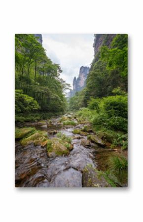 The Golden Whip Stream in Zhangjiajie National Forest Park, Hunan Province, China