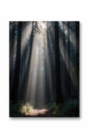 Ethereal komorebi sunlight streams through tall forest trees, creating a tranquil, inspiring scene. Perfect for wellness, travel, and nature-themed commercial projects.