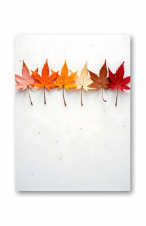 Autumn leaves showcase a beautiful range of fall colors against a clean, white backdrop.