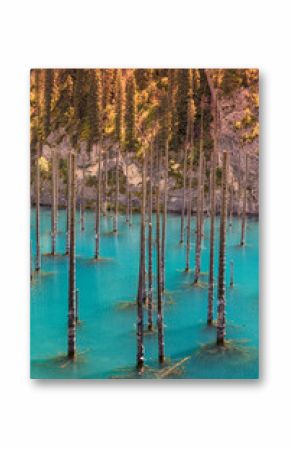 Sun shining on the unusual submerged trees rising from the turquoise water of Kaindy Lake in Kazakhstan