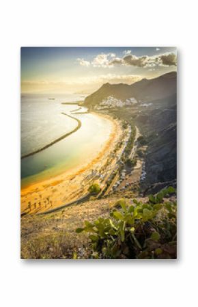 palms at highly popular beach las Teresitas from above, Tenerife, Spain