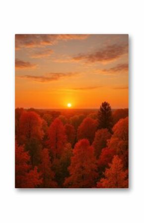 Vibrant autumn sunset over forest