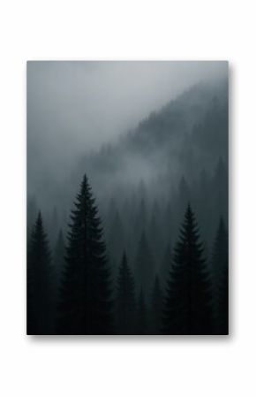 Misty forest with towering pines.